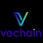 Charles Oliveira Instagram - Com muita alegria, compartilho com vocês minha nova parceria com a VeChain! E para quem ainda não conhece a VeChain é uma plataforma que oferece a empresas soluções digitais para problemas econômicos do mundo real. Então continuem acompanhando e vem muito coisa boa por aí 👊🏼✨ @vechainofficial_ #parceria #VeChain #novidades”