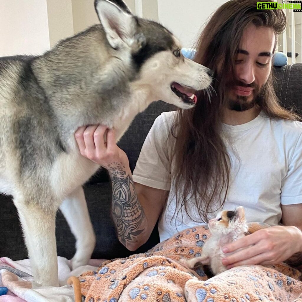 Charles White Jr. Instagram - The dogs love the cat