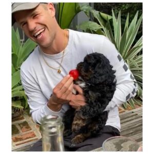 Charlie Carver Instagram - Tune in this Friday at 2 PM PT / 5PM ET when I’ll be hosting an IG Live with @rainvaldez about Loving Differently as part of @absolutus #LoveResponsibly campaign. 
 
Like so many folks this past year, I decided to expand my family by adding a furry friend. A little about Homer; he’s an Aquarius (not entirely sure about the moon/rising); he prefers to chew his toys only after he’s deposited them on top of my feet; he’s a little wary of big dogs, but once he gets the higher ground from, say, atop a bench at the dog park, he’s pretty fearless. No, it hasn’t entirely been puppy love between us. Sometimes it’s been tough getting up and putting the needs of a young animal first. Homer has contoured the limits of my own patience, perseverance, and need for personal space. There has been a lot of that last bit this year – personal space. Alone time. Something that felt personally sacred. Solitude that has, in moments, involuntarily shifted into feelings of isolation. Yes, there has been a strain on my personal relationships during a year spent largely apart from loved ones and the world at large. But that strain has been my teacher too, forcing me to think about how to love and care for myself and others responsibly.