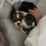 Chase Hudson Instagram - Meet Lady, im now a father of 2