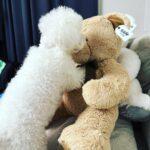 Chenle Instagram - New boyfriend….Sorry Haechan😏