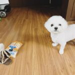 Chenle Instagram - 🥰