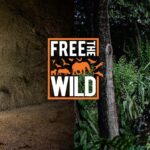 Cher Instagram - Free The Wild celebrates another win! Daboo, the Asian Black bear has led a short but tortured life. His mother was killed by poachers and, before long, he landed in a cage at Lahore Zoo, Pakistan. Thanks to our amazing followers and the hard work of Anila Umair Founder of @cawopk and FTW Director, Anika Sleem, Daboo has now found a fantastic home at @iwmb.org.pk Please help us do more like this. Support @ftwglobal 🌴🐘