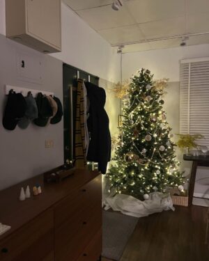 Chinnarat Siriphongchawalit Instagram - airbnb my first time ☃️🎄