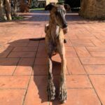 Chino Darín Instagram - Tago Mago