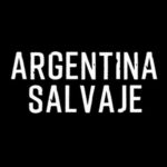 Chino Darín Instagram - . ¡MUY PRONTO! Ya llega Argentina Salvaje, la primera película argentina de naturaleza y vida salvaje para cines. Filmada en la más alta calidad (4k/8k) y con las técnicas cinematográficas más modernas, por los mejores camarógrafos de vida salvaje de Sudamérica. Narrada por @chinodarin Producción: @lightandshadowtv (Alemania) + @jumarafilms (Argentina). @kenyafilms @incaa_argentina @ccdelaciencia ¡NO TE PIERDAS EL PREESTRENO DE ESTE INCREÍBLE DOCUMENTAL! #jumarafilms #ArgentinaSalvaje