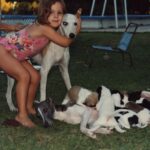 Chino Darín Instagram - Hoy cumple años esta chabonita extremadamente polideportiva y amanta de los animales. También le gusta el arrrrte. Feliz cumpleaños Clarinchi! Te amo y te extraño ❤️