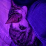Chino Darín Instagram - Gotita