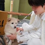 Choi Soo-bin Instagram - #monthlysoobin 나의 2월