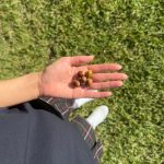 Choi Soo-young Instagram - 🍃🐿️☀️🏌🏻‍♀️⛳️