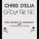 Chris D'Elia Instagram - The last 3.5 years led me to this. For that, I am grateful. "Grow or Die" at chrisdelia.com
