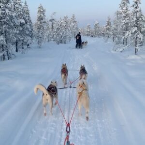 Chris Hughes Instagram - Bucket list ✔️ Lapland is magical 🎄❄️