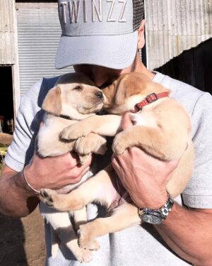Chris Hughes Instagram - I'm still obsessed 😪🐶