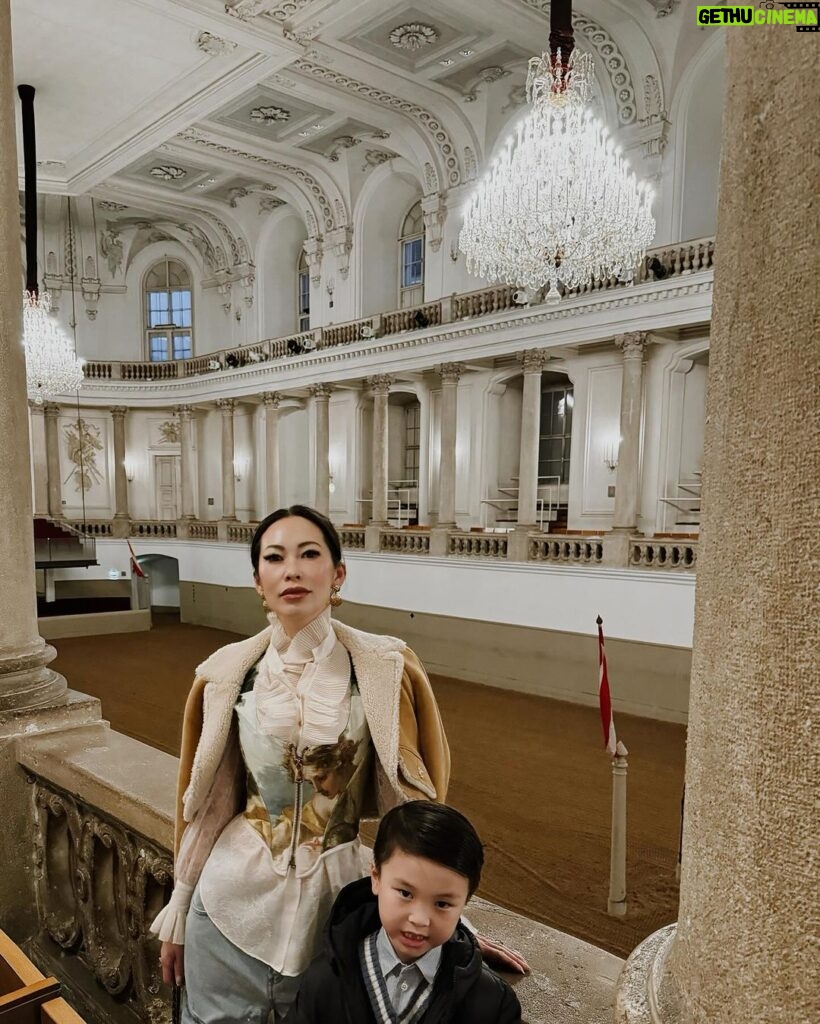 Christine Chiu Instagram - A Viennese holiday 🎄❤🇦🇹 📍vienna zoo 📍riding dinner city tour 📍schoenbrunn palace 📍st. Peter’s cathedral 📍Spanish riding school 📍Christmas markets 🍴zum weisser rauchfangkehrer 🍴steirereck 🍴[aend] Vienna, Austria