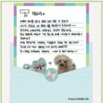 Chungha Instagram - CHUNG HA 청하 💌2023 설 인사 메시지💌 토끼처럼 힘차게 뛰어오르며 성장하는 한 해, 우리 모두 빛나는 2023년을 보내봐요!! 💚💙💜 #청하 #CHUNGHA #별하랑 #BYULHARANG #별랑해
