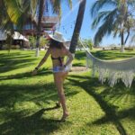 Claudia Álvarez Instagram - 🌴🍄💞🐬
