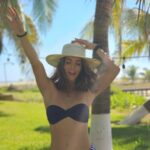 Claudia Álvarez Instagram - 🌴🍄💞🐬