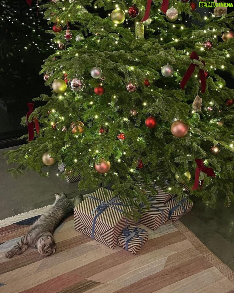 Claudia Schiffer Instagram - December pasts and present ❄
