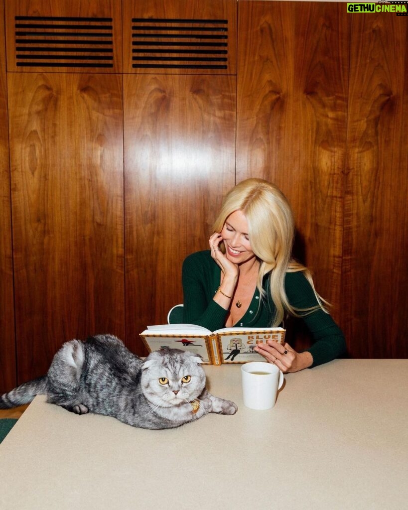 Claudia Schiffer Instagram - It’s not every day your cat writes a book… 😉 In less than a week the world can read @chipthecat’s “Blue Chip: Confessions of Claudia Schiffer’s Cat”! Illustrations by the talented @angelicahicks ♥