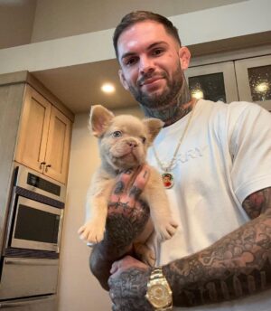 Cody Garbrandt Instagram - Just picked up “Pistol Pete” from @cocosfrenchbulldogs @nolovebullies