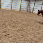 Cody Garbrandt Instagram - Need any fill ins on @yellowstone ?? 😂 first time on a horse what amazing animals thanks @bonifaybuilt for showing me the ropes.