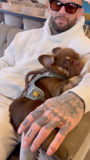 Cody Garbrandt Instagram - “Smokey”