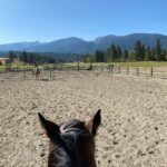 Cole Hauser Instagram - Perfect day on the ranch @yellowstone @paramountnetwork #montana