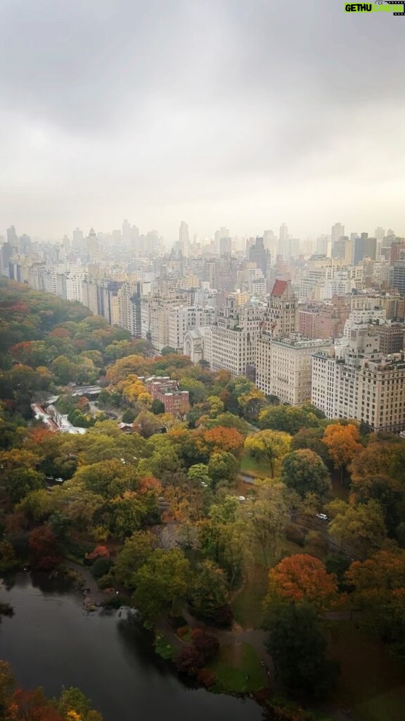 Cole Hauser Instagram - Hello Central Park, Press/ premier in NY for S5 @yellowstone @paramountplus Nov 13th coming to ya.