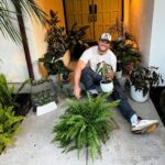 Colton Underwood Instagram - “i just need one to buy one plant for my office…” now i have to name them all… let the plant journey begin. #plantdad 🌿