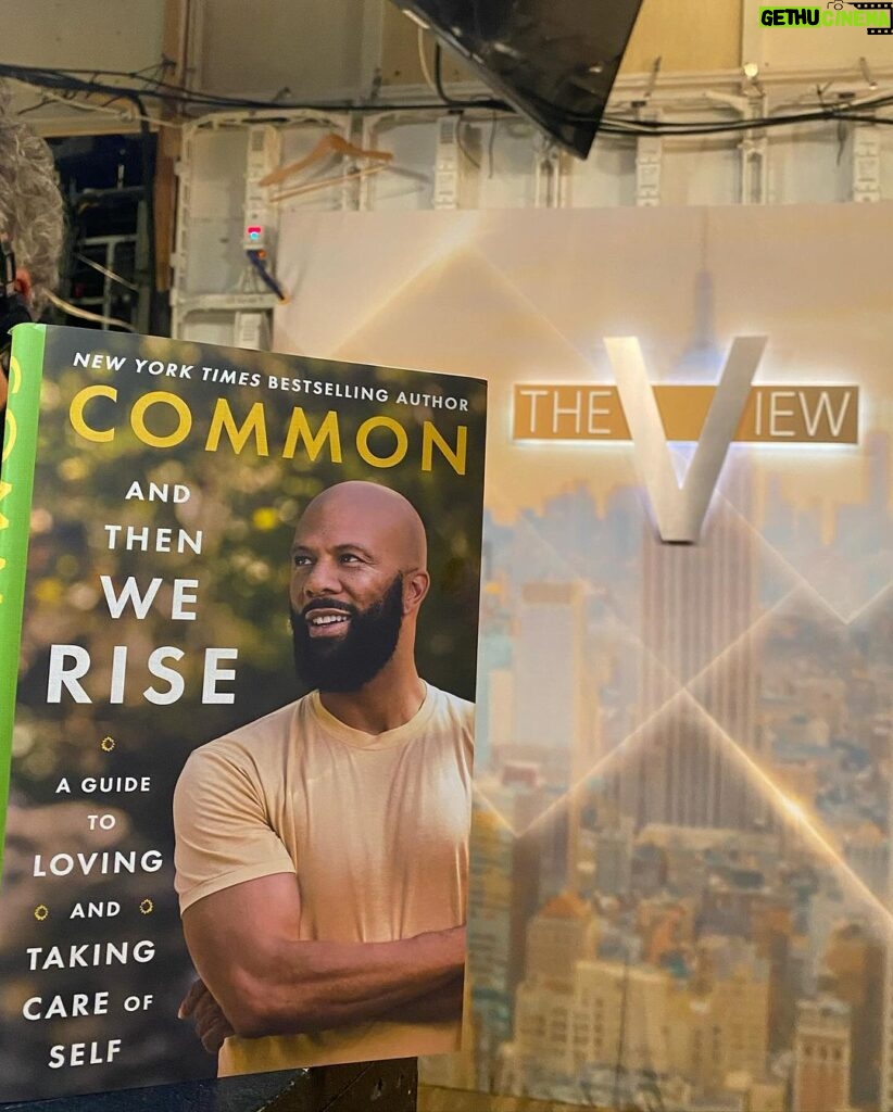 Common Instagram - Today is the day We have all been waiting for!! And Then We Rise...is Live!!! My latest book Release is finally here. I am so happy to be able to spend this Day @theviewabc #WeRiseWell #Make1Change