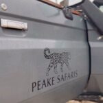 Connor Swindells Instagram - The experience of a life time, with only the brightest of company. @peakesafaris create a trip you’ll never forget. Whether it’s waking up to eloquent elephants shuffling through your camp while you sleep peacefully under the stars. Or watching lazy lions that slumber flirtatiously before you on exciting drives. Ernest Hemingway once said “I never knew of a morning in Africa where I woke up and was not happy”. I couldn’t agree with him more. Thank you @safaripeake Thank you @captures.by.danny I can’t wait to see you both again soon. 🇧🇼 Botswana