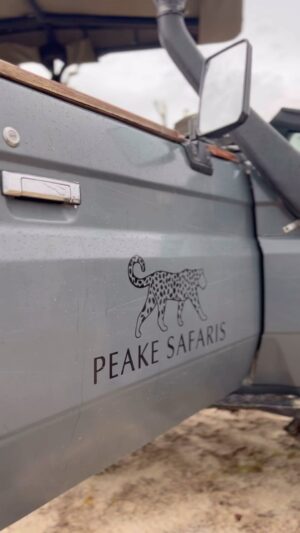 Connor Swindells Instagram - The experience of a life time, with only the brightest of company. 

@peakesafaris create a trip you’ll never forget. Whether it’s waking up to eloquent elephants shuffling through your camp  while you sleep peacefully under the stars. Or watching lazy lions that slumber flirtatiously before you on exciting drives.

Ernest Hemingway once said “I never knew of a morning in Africa where I woke up and was not happy”. I couldn’t agree with him more. 

Thank you @safaripeake 
Thank you @captures.by.danny 

I can’t wait to see you both again soon. 

🇧🇼