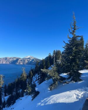 Corey Fogelmanis Instagram - bloomed into blue