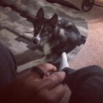Cory Kenshin Instagram - I spend more time with this little boy than anyone. Sam and I are thinking about being crime fighters, his name would be Alpha Savage! And me... *ahem* I was thinking Smashanova, get it Casanova because I'm like hawt or whatever, but then I like SMASH crime.. Make sense... no.. ok....