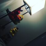 Cory Kenshin Instagram - They're always watching me... I'm just trying to relax but they're always watching... guys HELP me..
