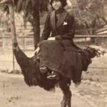 Cristián Riquelme Instagram - Azerbaiyán 1872, mi Tatarabuela Cleotilda Cejaúnica-Riquelme con su primera Mascota y futura cazuela.