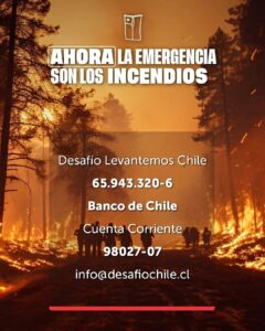 Cristián Riquelme Instagram - Ayuda concreta: www.soapbomberos.cl @desafiochile @soapbomberos