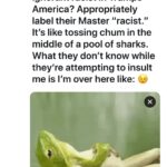 D.B. Woodside Instagram - Chillin’. Is it 5 o’clock yet? I could use a tasty beverage to wash down the tears, stupidity & willful ignorance of Trump supporters. 😂 And if you don’t like it? Hit that unfollow button homie. You won’t be missed. 😉🤷🏾‍♂️😊
