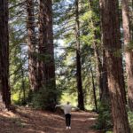 Dan Levy Instagram - At one with nātûré. ✨ Big Sur, California