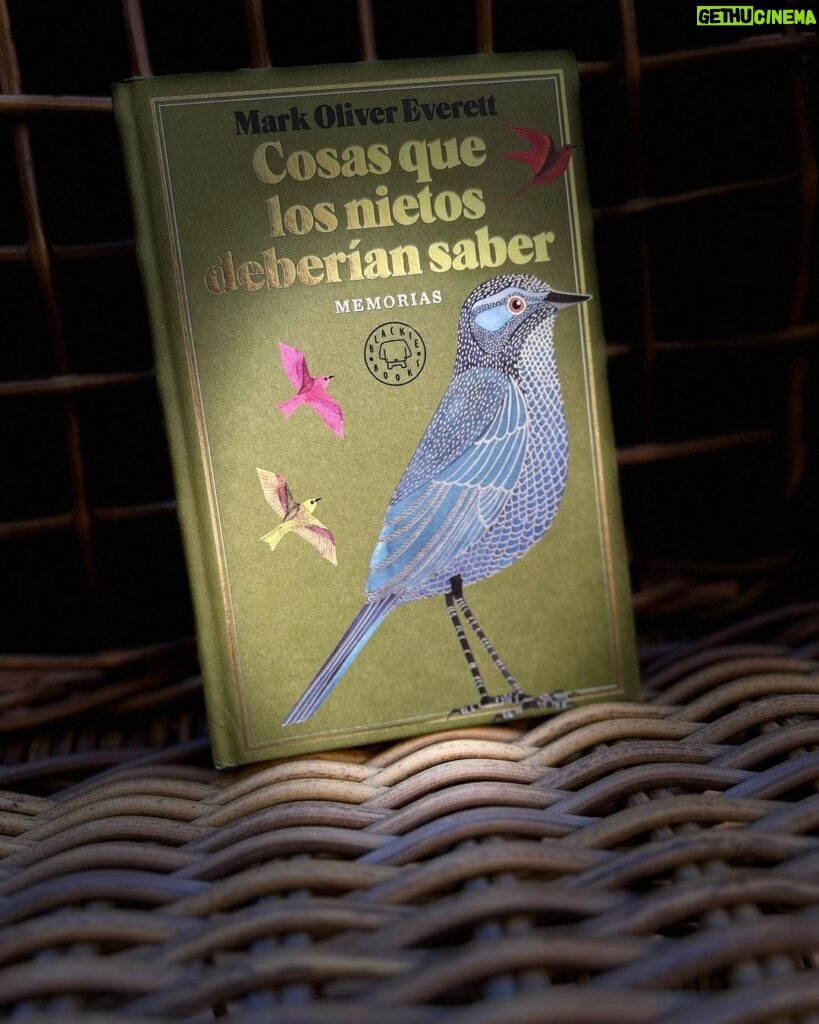 Dani Rovira Instagram - #CosasQueLosNietosDeberíanSaber de #MarkOliverEverett Qué maravilla de autobiografía del cantante “E” del grupo #Eels, grupo que desconocía y que empecé a escuchar hace dos o tres días, cuando inicié esta lectura. Una vida llena de golpes en el centro neurálgico del alma. La tristeza, el dolor y el sentirse un extraño en este mundo ha sido una constante en la vida de Mark. Su pasión por la música, por componer, por escribir hace que resurja una y otra vez de los atropellos con los que la vida le golpea. Todo ese dolor lo transforma en arte. Y lo mejor de todo, no sucumbiendo en ningún momento a las normas que dicta la industria, ni las discográficas ni, siquiera, su propio público. Un artista que ha creído en su música y eso ha sido lo que lo encumbra a la cima de los que marcan la diferencia. De los que hacen lo que quieren, porque son fieles a sí mismos. Este es el libro de memorias más leído de la década…y no me extraña. Gracias @arturogcampos por descubrírmelo y por enseñarme siempre a caminar fuera de la línea de puntos. Y sí, estoy de vacaciones y aprovecho para leer, que es de las 5 cosas que más me gustan en el mundo. 😎 #supoquicodelectura #RoviraReadings