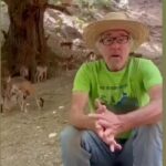 Dani Rovira Instagram - • @partidopacma La @ecoreservaojen (Málaga) rescata y acoge a muchísimos animales heridos, enfermos o necesitados de un hogar donde recuperarse. Ahora, está sufriendo un auténtico acoso por parte de la @andaluciajunta. Lo cuenta en este vídeo Antonio, su responsable. https://chng.it/QJXwTzBY