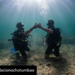 Dani Rovira Instagram – • @fundacionochotumbao 🪸 Este 2023 hemos replantado fragmentos de vida en el Mediterráneo de la mano de @arrelsmarines. 🌱🌎

Poco a poco esos fragmentos se convierten en praderas de Posidonia, uno de los ecosistemas costeros clave en la mitigación del cambio climático. 

En estas 📸 podéis ver uno de los momentos más especiales de la visita de @danirovira y @d10solano, patronos de Ochotumbao y @joselitorovira @arturogcampos y @javitatay3, amigos de la Fundación, junto al equipo de Arrels Marines: la expedición submarina para ver los primeros brotes de este proyecto tan ambicioso y que nos hace tanta ilusión que sea ya una realidad. 🧡

En nuestra web 🔗 podéis conocer más sobre este proyecto al que nuestra cofundadora @claralago1 ha destinado la recaudación íntegra de su colaboración con varias marcas. 

Fotos: @nicolau_c.pons

➕ info 👉 https://www.ochotumbao.org/causa/reforestacion-de-las-praderas-de-posidonia-en-mallorca/

#Ochotumbao