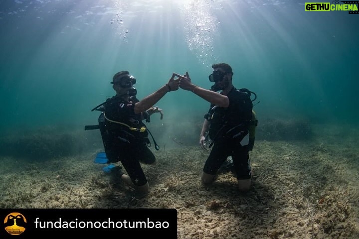 Dani Rovira Instagram - • @fundacionochotumbao 🪸 Este 2023 hemos replantado fragmentos de vida en el Mediterráneo de la mano de @arrelsmarines. 🌱🌎 Poco a poco esos fragmentos se convierten en praderas de Posidonia, uno de los ecosistemas costeros clave en la mitigación del cambio climático. En estas 📸 podéis ver uno de los momentos más especiales de la visita de @danirovira y @d10solano, patronos de Ochotumbao y @joselitorovira @arturogcampos y @javitatay3, amigos de la Fundación, junto al equipo de Arrels Marines: la expedición submarina para ver los primeros brotes de este proyecto tan ambicioso y que nos hace tanta ilusión que sea ya una realidad. 🧡 En nuestra web 🔗 podéis conocer más sobre este proyecto al que nuestra cofundadora @claralago1 ha destinado la recaudación íntegra de su colaboración con varias marcas. Fotos: @nicolau_c.pons ➕ info 👉 https://www.ochotumbao.org/causa/reforestacion-de-las-praderas-de-posidonia-en-mallorca/ #Ochotumbao