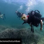 Dani Rovira Instagram – • @fundacionochotumbao 🪸 Este 2023 hemos replantado fragmentos de vida en el Mediterráneo de la mano de @arrelsmarines. 🌱🌎

Poco a poco esos fragmentos se convierten en praderas de Posidonia, uno de los ecosistemas costeros clave en la mitigación del cambio climático. 

En estas 📸 podéis ver uno de los momentos más especiales de la visita de @danirovira y @d10solano, patronos de Ochotumbao y @joselitorovira @arturogcampos y @javitatay3, amigos de la Fundación, junto al equipo de Arrels Marines: la expedición submarina para ver los primeros brotes de este proyecto tan ambicioso y que nos hace tanta ilusión que sea ya una realidad. 🧡

En nuestra web 🔗 podéis conocer más sobre este proyecto al que nuestra cofundadora @claralago1 ha destinado la recaudación íntegra de su colaboración con varias marcas. 

Fotos: @nicolau_c.pons

➕ info 👉 https://www.ochotumbao.org/causa/reforestacion-de-las-praderas-de-posidonia-en-mallorca/

#Ochotumbao