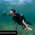 Dani Rovira Instagram – • @fundacionochotumbao 🪸 Este 2023 hemos replantado fragmentos de vida en el Mediterráneo de la mano de @arrelsmarines. 🌱🌎

Poco a poco esos fragmentos se convierten en praderas de Posidonia, uno de los ecosistemas costeros clave en la mitigación del cambio climático. 

En estas 📸 podéis ver uno de los momentos más especiales de la visita de @danirovira y @d10solano, patronos de Ochotumbao y @joselitorovira @arturogcampos y @javitatay3, amigos de la Fundación, junto al equipo de Arrels Marines: la expedición submarina para ver los primeros brotes de este proyecto tan ambicioso y que nos hace tanta ilusión que sea ya una realidad. 🧡

En nuestra web 🔗 podéis conocer más sobre este proyecto al que nuestra cofundadora @claralago1 ha destinado la recaudación íntegra de su colaboración con varias marcas. 

Fotos: @nicolau_c.pons

➕ info 👉 https://www.ochotumbao.org/causa/reforestacion-de-las-praderas-de-posidonia-en-mallorca/

#Ochotumbao