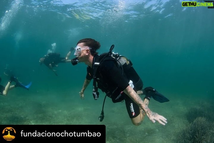 Dani Rovira Instagram - • @fundacionochotumbao 🪸 Este 2023 hemos replantado fragmentos de vida en el Mediterráneo de la mano de @arrelsmarines. 🌱🌎 Poco a poco esos fragmentos se convierten en praderas de Posidonia, uno de los ecosistemas costeros clave en la mitigación del cambio climático. En estas 📸 podéis ver uno de los momentos más especiales de la visita de @danirovira y @d10solano, patronos de Ochotumbao y @joselitorovira @arturogcampos y @javitatay3, amigos de la Fundación, junto al equipo de Arrels Marines: la expedición submarina para ver los primeros brotes de este proyecto tan ambicioso y que nos hace tanta ilusión que sea ya una realidad. 🧡 En nuestra web 🔗 podéis conocer más sobre este proyecto al que nuestra cofundadora @claralago1 ha destinado la recaudación íntegra de su colaboración con varias marcas. Fotos: @nicolau_c.pons ➕ info 👉 https://www.ochotumbao.org/causa/reforestacion-de-las-praderas-de-posidonia-en-mallorca/ #Ochotumbao