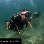 Dani Rovira Instagram – • @fundacionochotumbao 🪸 Este 2023 hemos replantado fragmentos de vida en el Mediterráneo de la mano de @arrelsmarines. 🌱🌎

Poco a poco esos fragmentos se convierten en praderas de Posidonia, uno de los ecosistemas costeros clave en la mitigación del cambio climático. 

En estas 📸 podéis ver uno de los momentos más especiales de la visita de @danirovira y @d10solano, patronos de Ochotumbao y @joselitorovira @arturogcampos y @javitatay3, amigos de la Fundación, junto al equipo de Arrels Marines: la expedición submarina para ver los primeros brotes de este proyecto tan ambicioso y que nos hace tanta ilusión que sea ya una realidad. 🧡

En nuestra web 🔗 podéis conocer más sobre este proyecto al que nuestra cofundadora @claralago1 ha destinado la recaudación íntegra de su colaboración con varias marcas. 

Fotos: @nicolau_c.pons

➕ info 👉 https://www.ochotumbao.org/causa/reforestacion-de-las-praderas-de-posidonia-en-mallorca/

#Ochotumbao