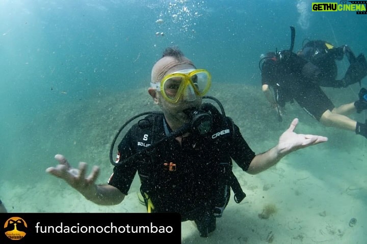 Dani Rovira Instagram - • @fundacionochotumbao 🪸 Este 2023 hemos replantado fragmentos de vida en el Mediterráneo de la mano de @arrelsmarines. 🌱🌎 Poco a poco esos fragmentos se convierten en praderas de Posidonia, uno de los ecosistemas costeros clave en la mitigación del cambio climático. En estas 📸 podéis ver uno de los momentos más especiales de la visita de @danirovira y @d10solano, patronos de Ochotumbao y @joselitorovira @arturogcampos y @javitatay3, amigos de la Fundación, junto al equipo de Arrels Marines: la expedición submarina para ver los primeros brotes de este proyecto tan ambicioso y que nos hace tanta ilusión que sea ya una realidad. 🧡 En nuestra web 🔗 podéis conocer más sobre este proyecto al que nuestra cofundadora @claralago1 ha destinado la recaudación íntegra de su colaboración con varias marcas. Fotos: @nicolau_c.pons ➕ info 👉 https://www.ochotumbao.org/causa/reforestacion-de-las-praderas-de-posidonia-en-mallorca/ #Ochotumbao