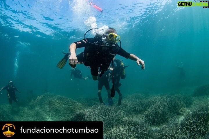 Dani Rovira Instagram - • @fundacionochotumbao 🪸 Este 2023 hemos replantado fragmentos de vida en el Mediterráneo de la mano de @arrelsmarines. 🌱🌎 Poco a poco esos fragmentos se convierten en praderas de Posidonia, uno de los ecosistemas costeros clave en la mitigación del cambio climático. En estas 📸 podéis ver uno de los momentos más especiales de la visita de @danirovira y @d10solano, patronos de Ochotumbao y @joselitorovira @arturogcampos y @javitatay3, amigos de la Fundación, junto al equipo de Arrels Marines: la expedición submarina para ver los primeros brotes de este proyecto tan ambicioso y que nos hace tanta ilusión que sea ya una realidad. 🧡 En nuestra web 🔗 podéis conocer más sobre este proyecto al que nuestra cofundadora @claralago1 ha destinado la recaudación íntegra de su colaboración con varias marcas. Fotos: @nicolau_c.pons ➕ info 👉 https://www.ochotumbao.org/causa/reforestacion-de-las-praderas-de-posidonia-en-mallorca/ #Ochotumbao