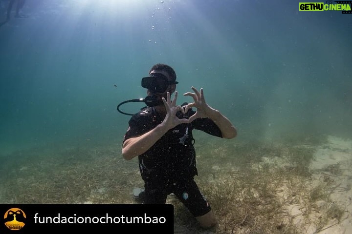 Dani Rovira Instagram - • @fundacionochotumbao 🪸 Este 2023 hemos replantado fragmentos de vida en el Mediterráneo de la mano de @arrelsmarines. 🌱🌎 Poco a poco esos fragmentos se convierten en praderas de Posidonia, uno de los ecosistemas costeros clave en la mitigación del cambio climático. En estas 📸 podéis ver uno de los momentos más especiales de la visita de @danirovira y @d10solano, patronos de Ochotumbao y @joselitorovira @arturogcampos y @javitatay3, amigos de la Fundación, junto al equipo de Arrels Marines: la expedición submarina para ver los primeros brotes de este proyecto tan ambicioso y que nos hace tanta ilusión que sea ya una realidad. 🧡 En nuestra web 🔗 podéis conocer más sobre este proyecto al que nuestra cofundadora @claralago1 ha destinado la recaudación íntegra de su colaboración con varias marcas. Fotos: @nicolau_c.pons ➕ info 👉 https://www.ochotumbao.org/causa/reforestacion-de-las-praderas-de-posidonia-en-mallorca/ #Ochotumbao